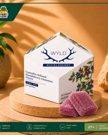 Wyld Hybrid Gummies - 10MG THC