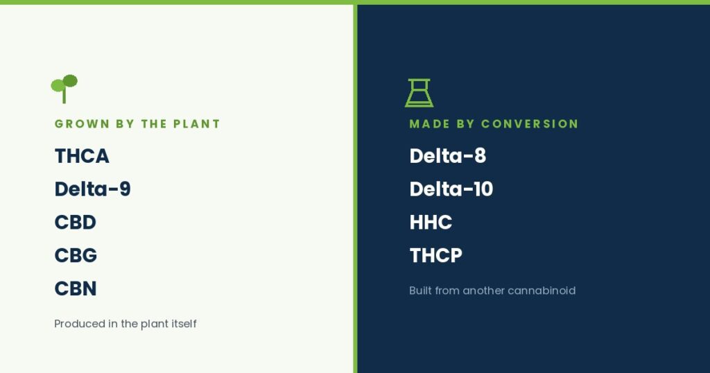 Cannabinoids grown by the plant versus made by conversion