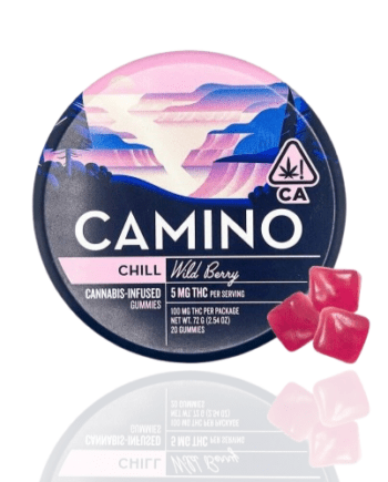 CAMINO Chill Hemp Infused Gummies – 100MG THC